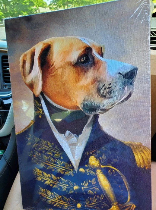 The Admiral Pet Portrait