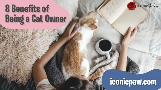 8 Benefits of Being a Cat Owner- Infographics