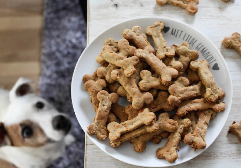 Simple and Delicious Dog Treat Recipes