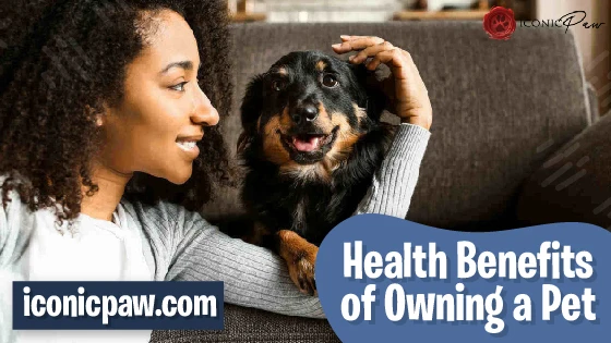 The Health Benefits of Owning a Pet