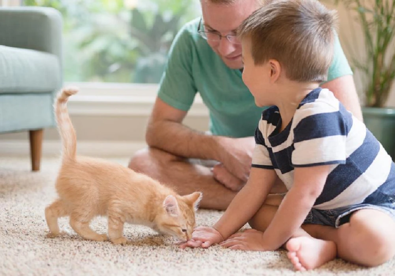 How to be a Better Pet Parent