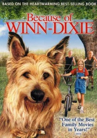 Because of Winn-Dixie ideas