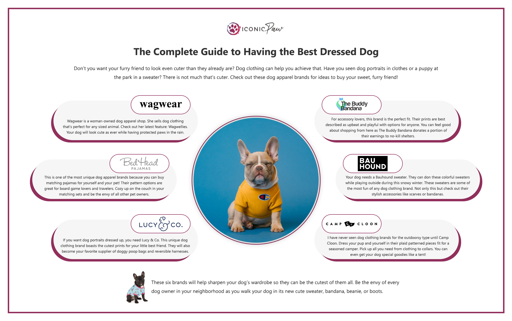 The Complete Guide to Having the Best Dressed Dog infographics