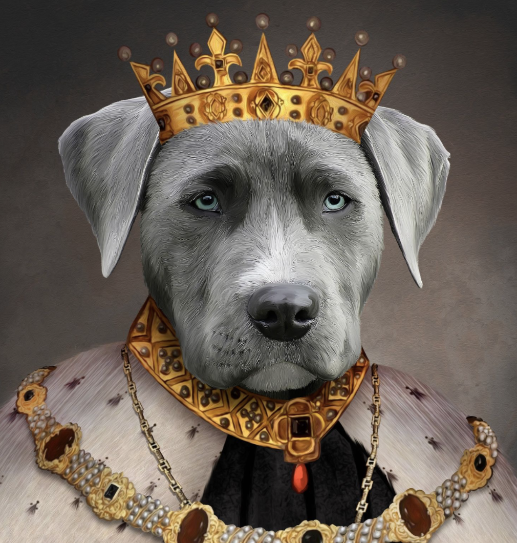 Grey Dog in Royal Garb NFT