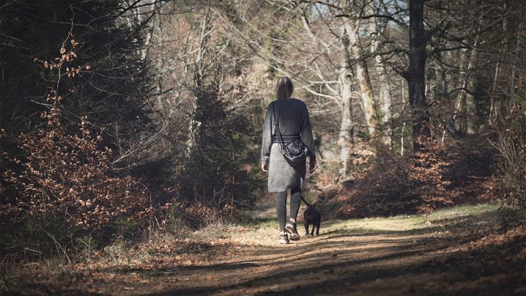 5 Steps to Being a More Eco-Friendly Dog Owner