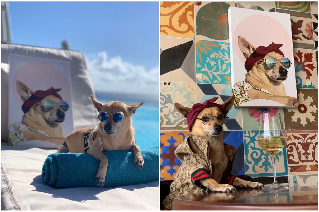 puppies wearing glasses while striking an instagrammable pose