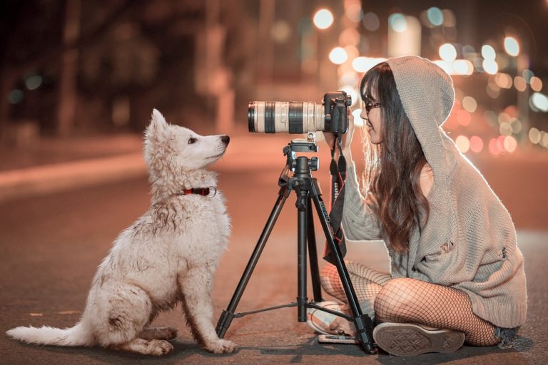 How to Turn Your Pet Into an Instagram Star