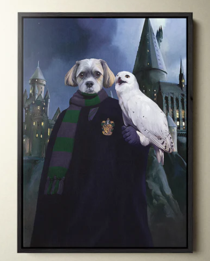 Custom Harry Potter Slytherpaw with owl portrait