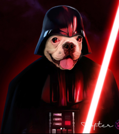 Custom Star Wars Pet Portrait