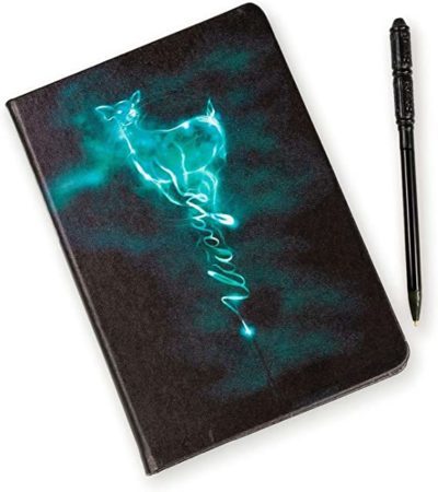 Harry Potter Notebook with a Wand Pen
