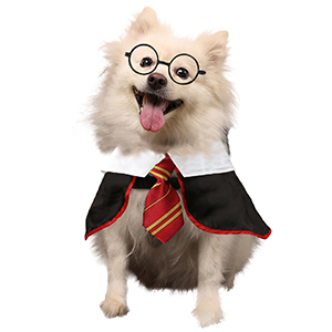 Harry Potter Costume for dogs and cats