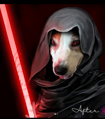 Custom Star Wars Pet's Themed Photos