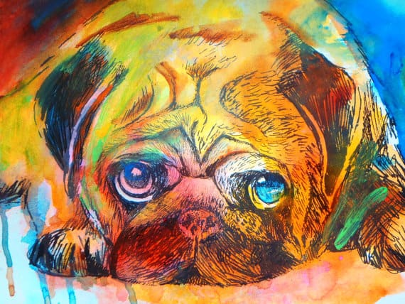 watercolor custom dog portrait