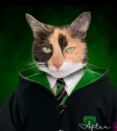 custom cat portrait as Harry Potter character