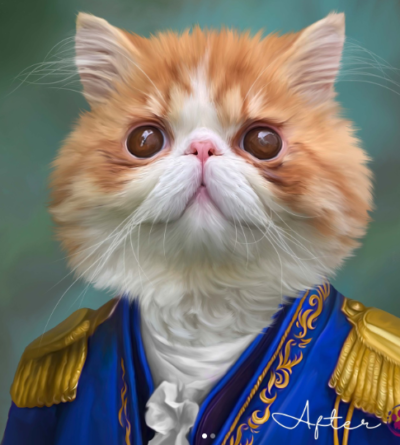 customized cat portrait wearing royal dress