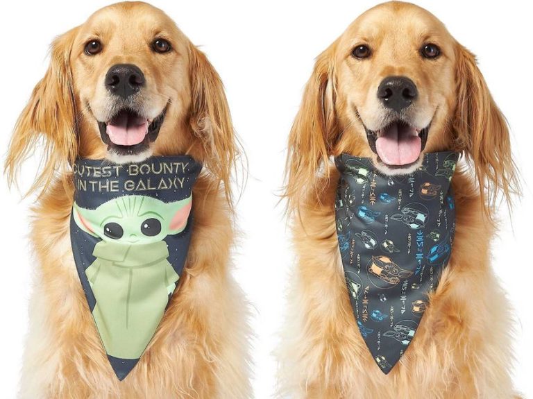 10 Best Star Wars Gifts for Pet owners